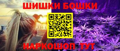 индика Братск