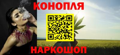 jwh Бердск