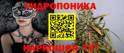 сатива Белореченск
