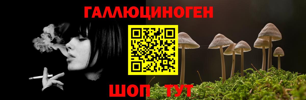 Псилоцибиновые грибы прущие грибы  купить   Надым  Вход с VPN 